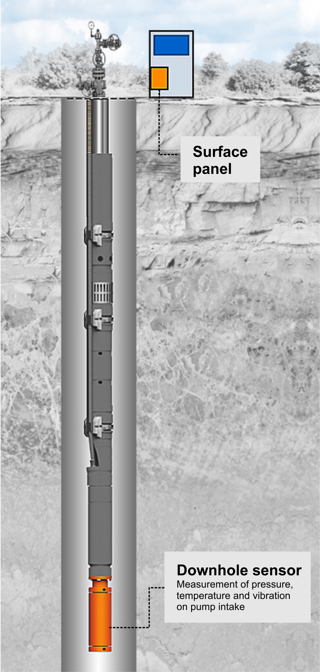 Diagram showing standard ESP sensor configuration